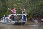 Boat Electrofishing by Joyce Coombs