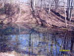Pond with Reflections by Christy Young