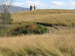 Switchgrass Production Field 2 by Ken Goddard