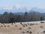Switchgrass in Snow by Ken Goddard