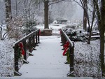 Snowy Walkway at UT Gardens by Cheryl Greenacre