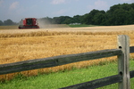 Wheat Harvest by Blake Brown