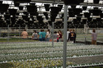 Carl Sams' Greenhouse Class visits Pope's Nursery by John C. Cummins